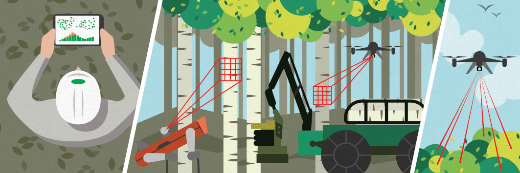 DigiForest